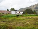 dsc03929