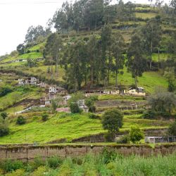 dsc03935